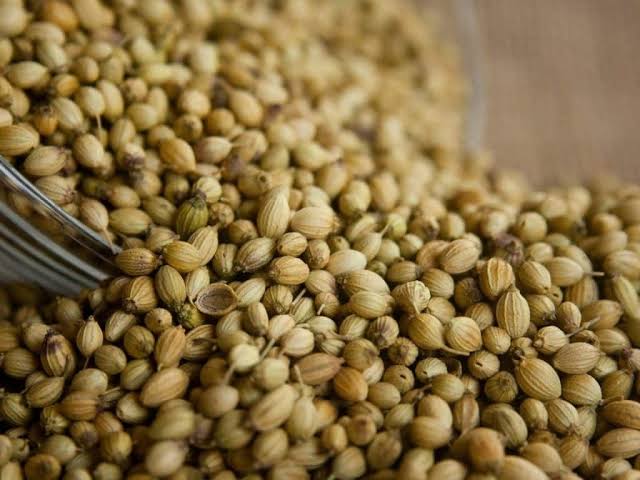Coriander Seed (Dhania)